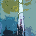 Morski mož Mesečnik II.