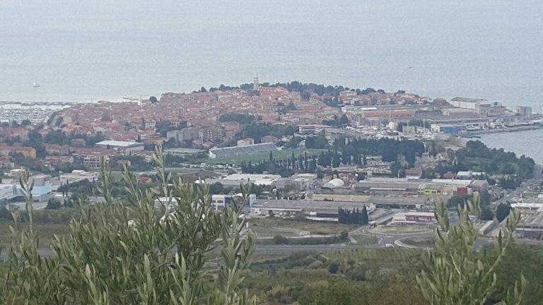 Izolska občina bo oddala dodatnih 15 neprofitnih stanovanj