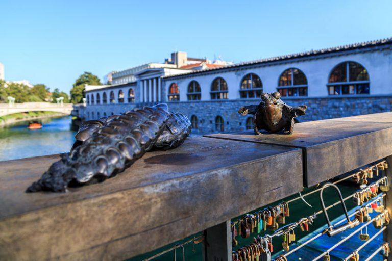 Ljubljanska občina bi parkirno hišo pod osrednjo tržnico gradila sama