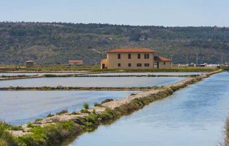 V Sečovljah kmalu kmalu nova neprofitna stanovanja
